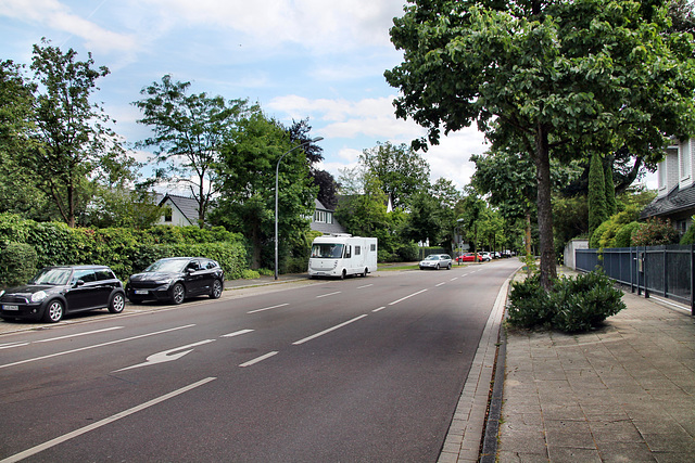 Westerwaldstraße (Essen-Bredeney) / 6.07.2023