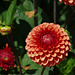 BÖ0035886