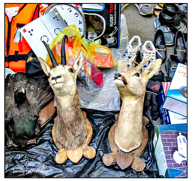 Flohmarkt