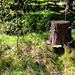 Leben und Stille