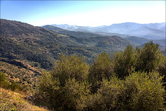 Serrania de Ronda