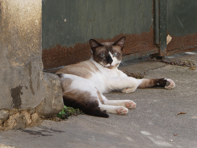 Siesta bei 32 Grad...