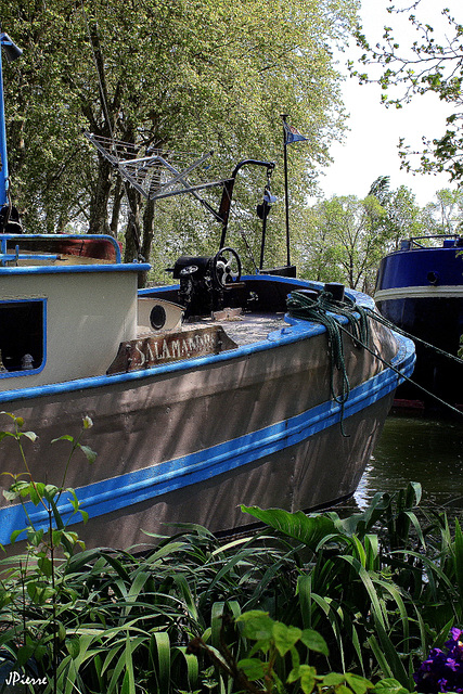 Canal du Midi