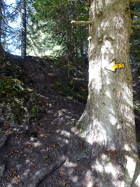 Es geht Bergauf in Richtung La Vraconnaz