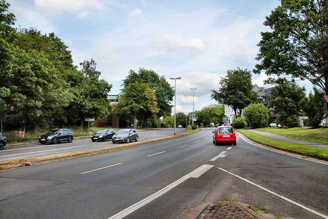 Meisenburgstraße (Essen-Bredeney) / 6.07.2023