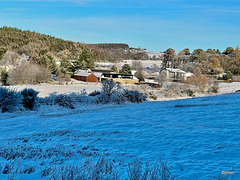 Winter wonderland - it was -10°C early this morning here...