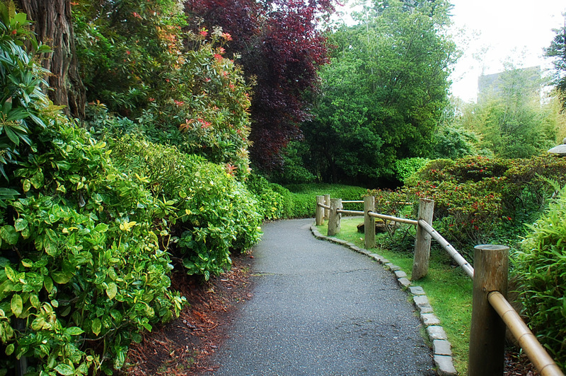 In the zen garden