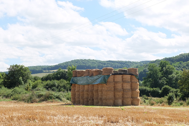 campagne Côte d'Or