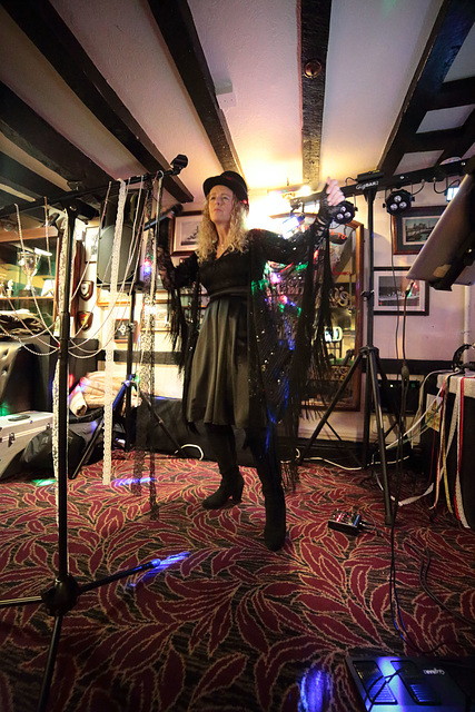 EOS 6D Peter Harriman 21 25 57 08736 StevieNicks unproc