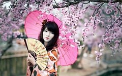 Splendide Geisha