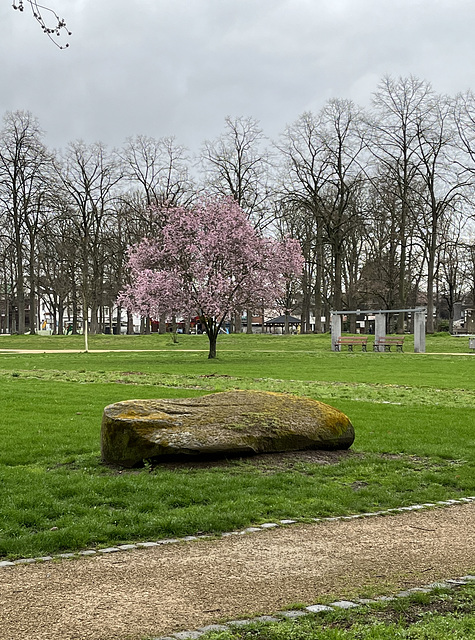 Bänke im Dahliengarten