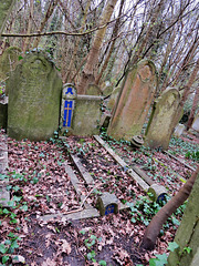 abney park cemetery, london,splash of colour on grave of dorothy elizabeth byre 1931