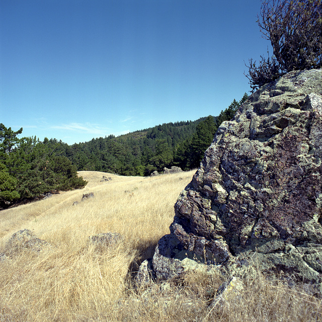 Stone Faced