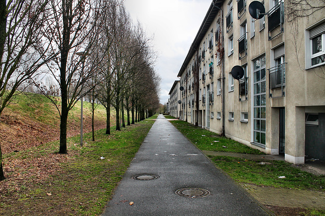 Hugo-Reckmann-Straße (Bottrop-Batenbrock) / 19.03.2017