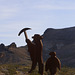 Rhyolite Sculptures