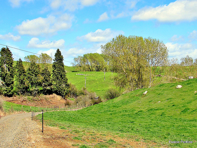 Rural Scene