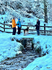 Winter wonderland - it was -10°C early this morning here...
