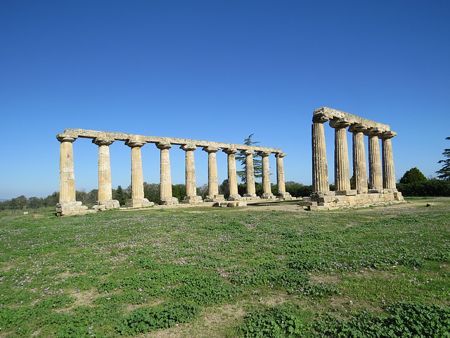 Metaponte : Tavole Palatine.