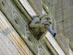 lowick church, northants  (4) gargoyle on c15 tower