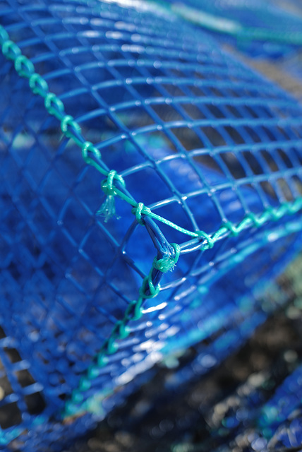 Blue rope on fishing traps, Monte Gordo