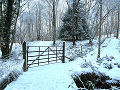 Winter wonderland - it was -10°C early this morning here...