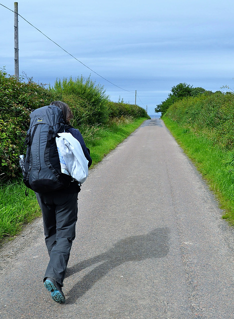 Scotland St. Cuthbert's Way (PiP)