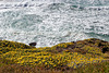 Azenhas do Mar, Portugal