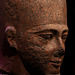 Tête de colosse de Ramsès II - Granit rouge - Expo à la Grande Halle de la Villette .