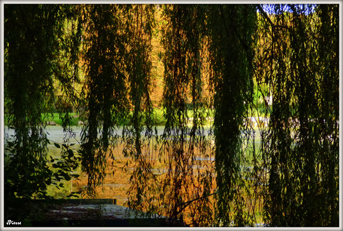 Grand Canal sur la Nonette (Chantilly)