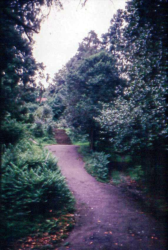 Batumi Botanical Garden