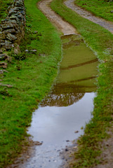hillside reflected in the puddle