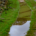 hillside reflected in the puddle