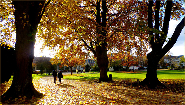 Le parc Louis PASTEUR...