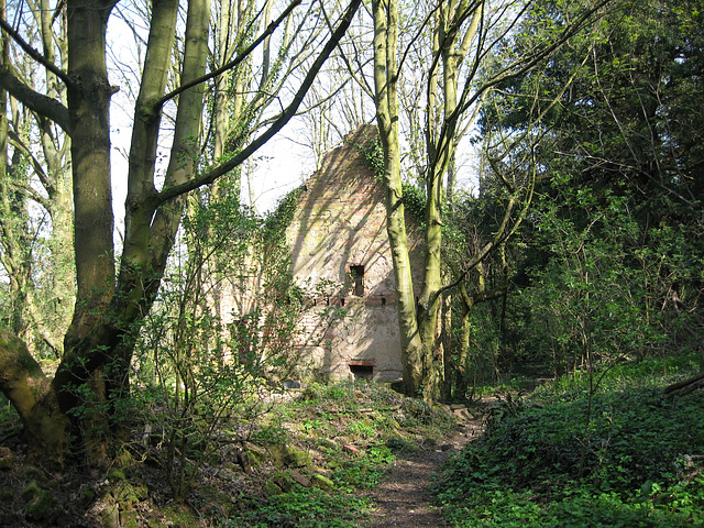 Ruins of an old building at the North end of Woody Park