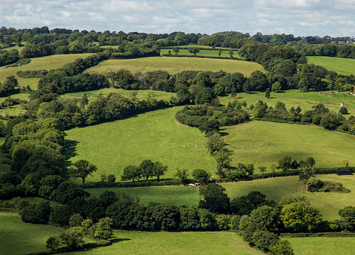 Devon landscape