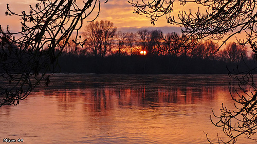 SAINTE GEMMES sur LOIRE