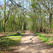 Footpath leading to Woody Park