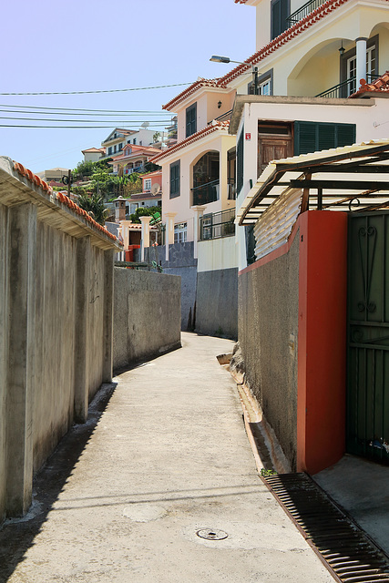 Câmara de Lobos - Estrada de Santa Clara (4)