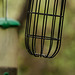 Empty Bird Feeder