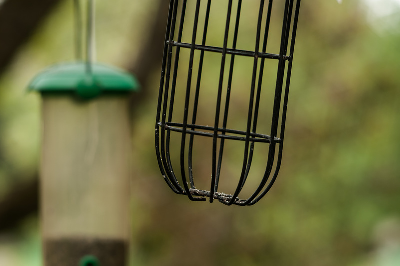 Empty Bird Feeder