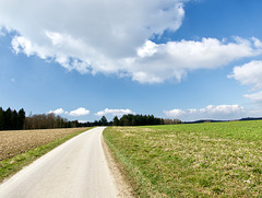 Der Frühling wird kommen