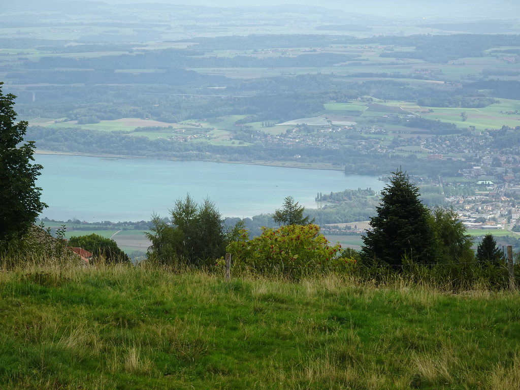 Blick auf den Neuenburgersee von Les Rasses