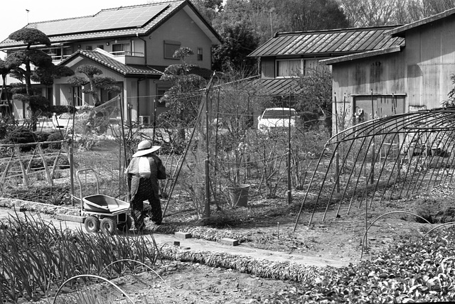 Tending the field