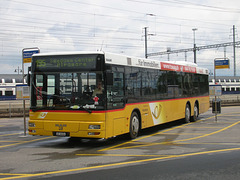 DSCN1992 Schuler-Reisen of Feusisberg SZ 45324 (in Swiss Post PTT livery) at Pfäffikon (SZ) - 13 Jun 2008