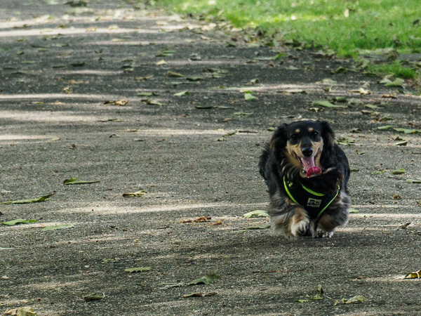 Running along