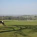 View westward from near Baggeridge Wood Farm to Orton Hill