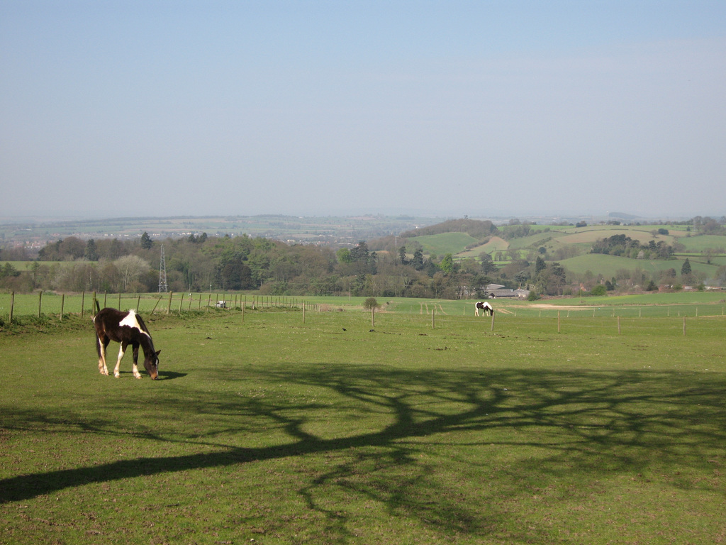 View westward from near Baggeridge Wood Farm to Orton Hill