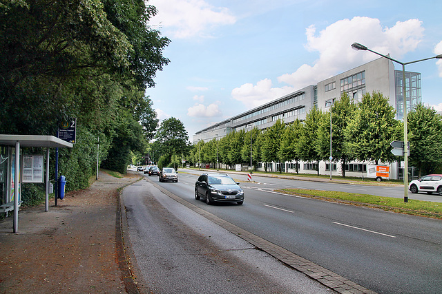 Hatzper Straße (Essen-Bredeney) / 6.07.2023