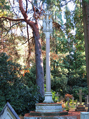 brookwood cemetery, surrey