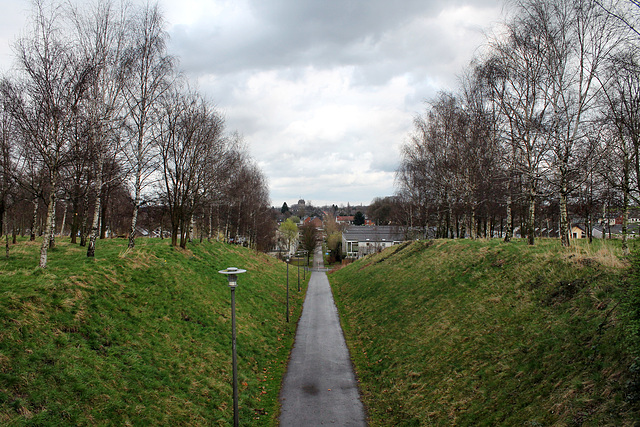 Blick von der Brücke im Prosperpark (Bottrop-Batenbrock) / 19.03.2017